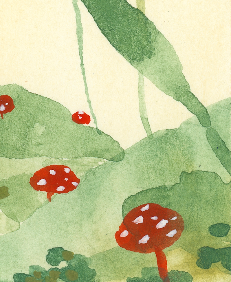 Toadstools